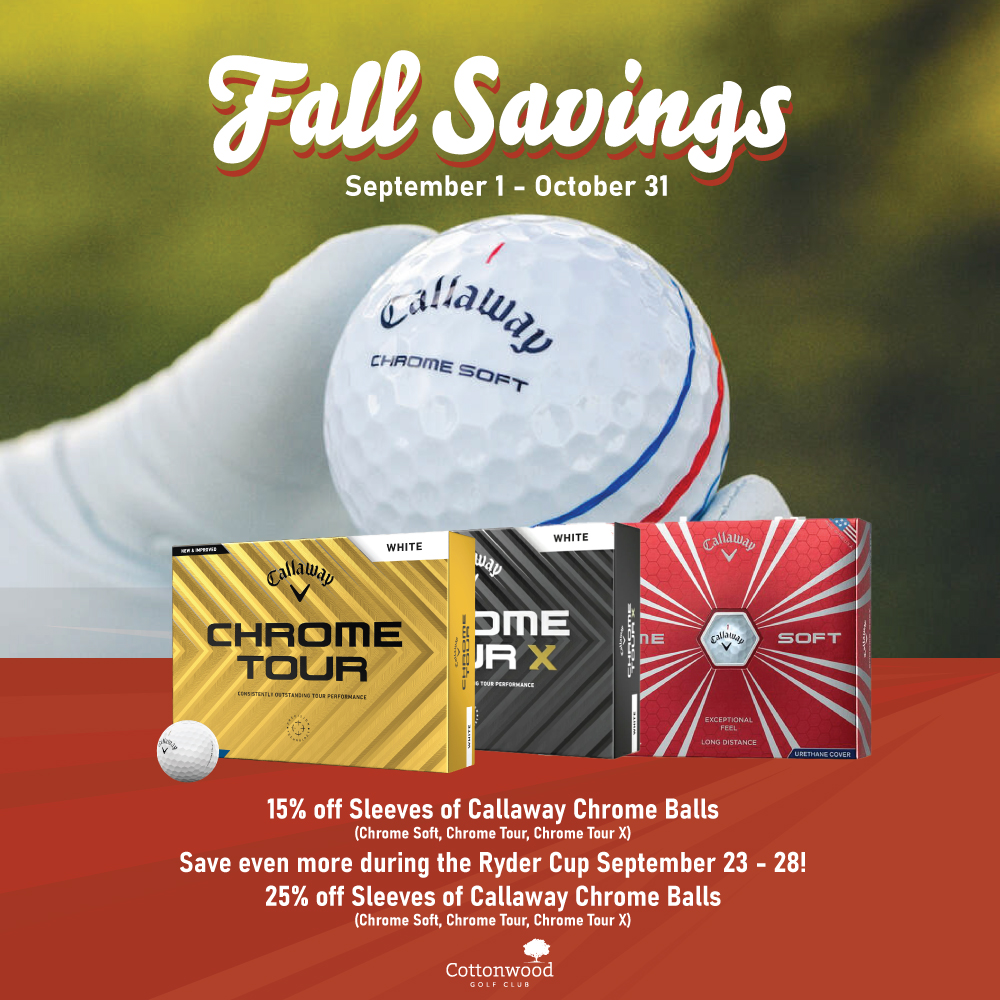 Fall Ball Sale