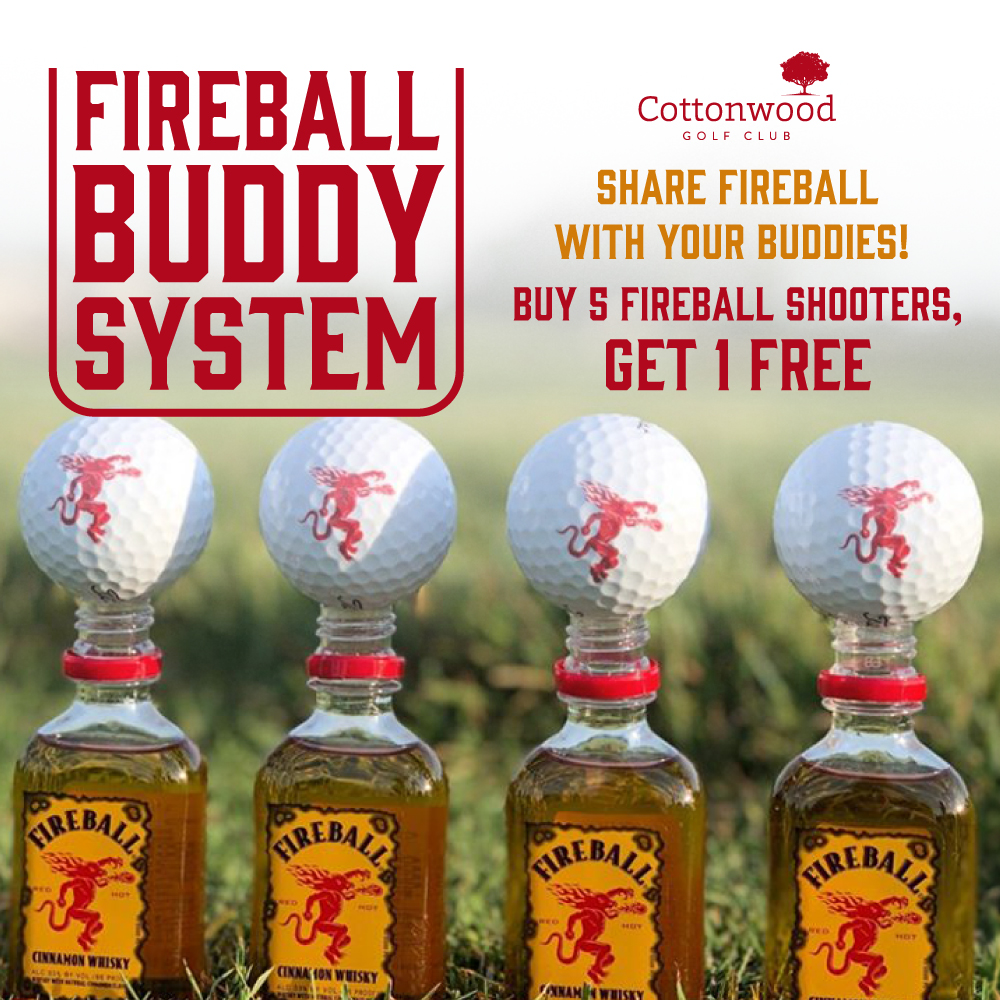 Fireball Buddy System