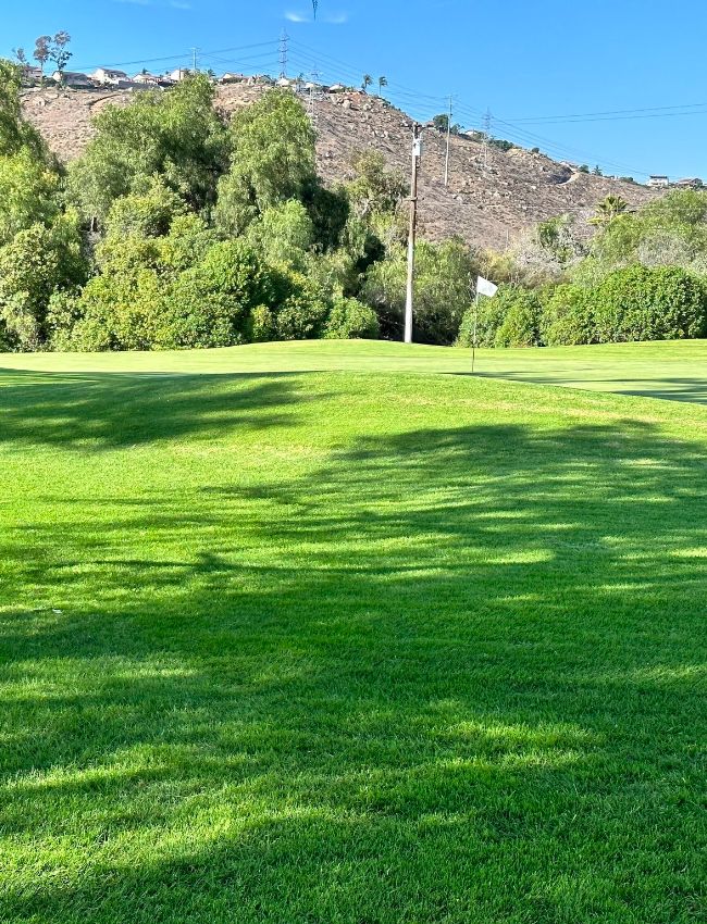 cottonwood golf 02